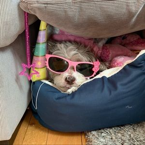 Meet your Posher, Lindsay